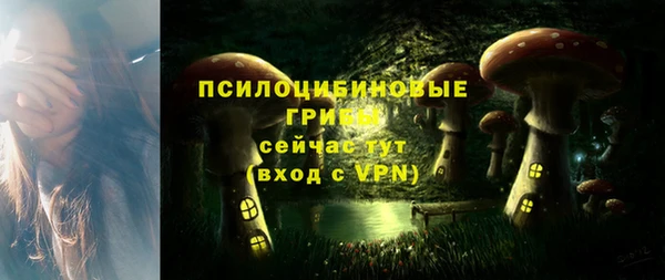 спиды Алзамай