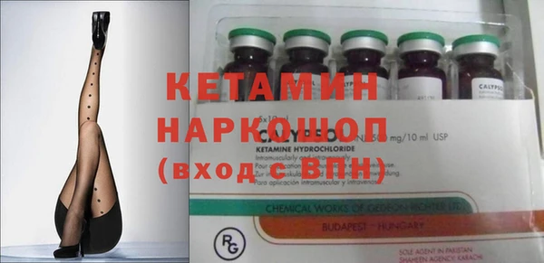шишки Алексин