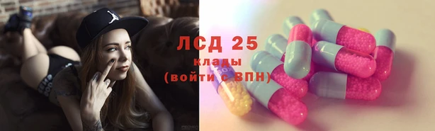 спиды Алзамай