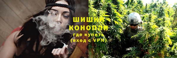 шишки Алексин