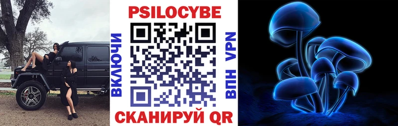 купить  цена  ссылка на мегу   Галлюциногенные грибы Psilocybe  Ардатов 