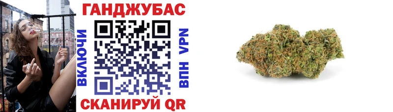 Конопля сатива  Ардатов 